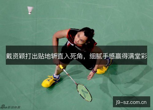 戴资颖打出贴地斩直入死角，细腻手感赢得满堂彩